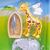 BloX דגם גן חיות ספארק טויס - SPARK TOYS
