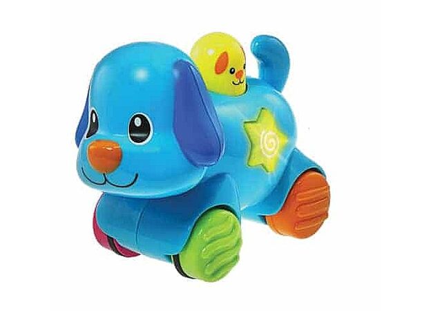 כלב אורות לחץ וסע winfun