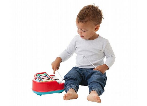 קסילפון PLAYGRO