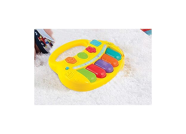אורגן אורות חיות WINFUN