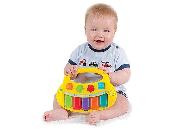 אורגן אורות חיות WINFUN