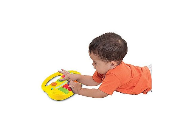 אורגן אורות חיות WINFUN